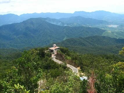Mỹ Tâm: Họa mi tóc nâu và mối quan hệ với học trò_Cuộc thi khởi nghiệp