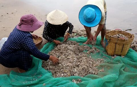 Sự Bùng Nổ Của Video Ngắn và Trí Tuệ Nhân Tạo: Vai Trò Thiết Yếu Của Đào Tạo Kỹ Năng Sáng Tạo Nội Dung_Viết chuẩn nội dung SEO