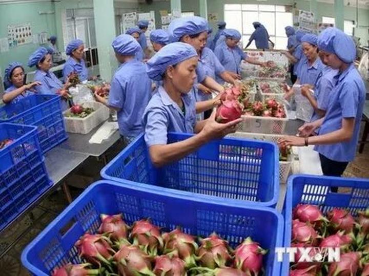 Sự Bùng Nổ Của Video Ngắn và Trí Tuệ Nhân Tạo: Vai Trò Thiết Yếu Của Đào Tạo Kỹ Năng Sáng Tạo Nội Dung