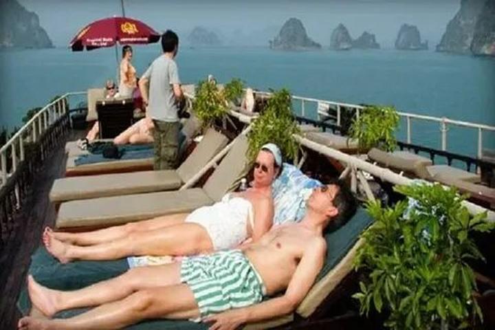 Bonobo: Nguồn Gốc Tiến Hóa Của Ngôn Ngữ Con Người?